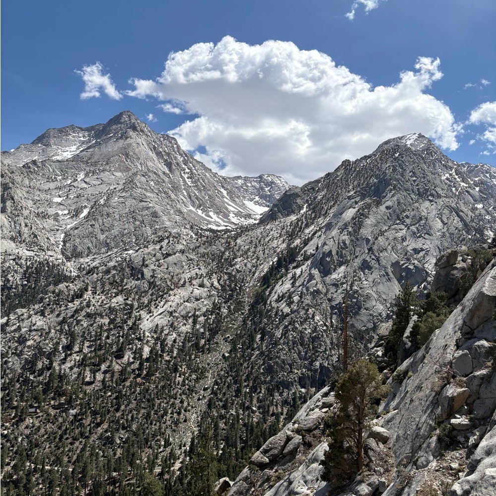 Meet your Posher, Lyss